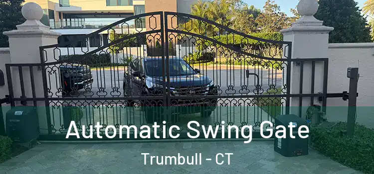  Automatic Swing Gate Trumbull - CT