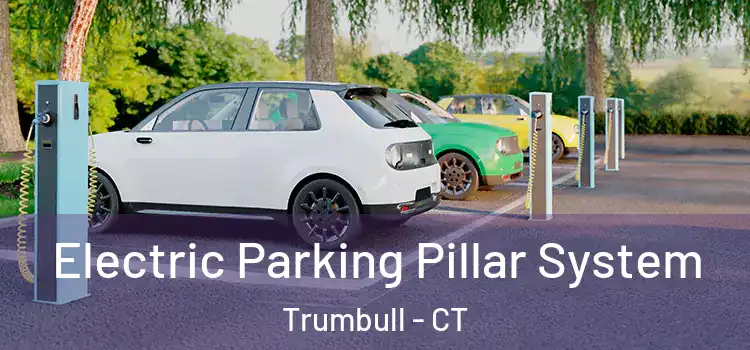 Electric Parking Pillar System Trumbull - CT