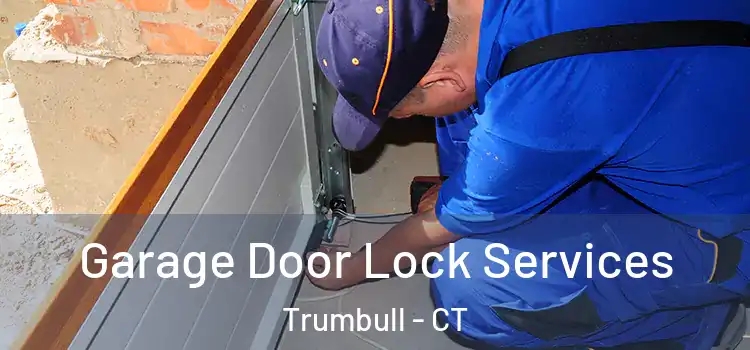 Garage Door Lock Services Trumbull - CT