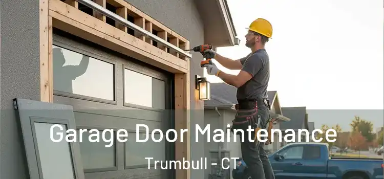 Garage Door Maintenance Trumbull - CT