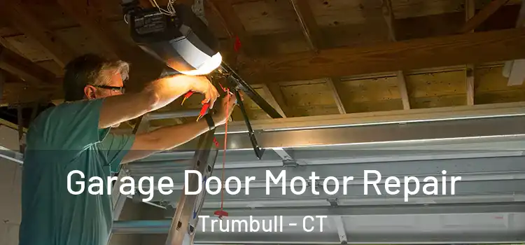  Garage Door Motor Repair Trumbull - CT