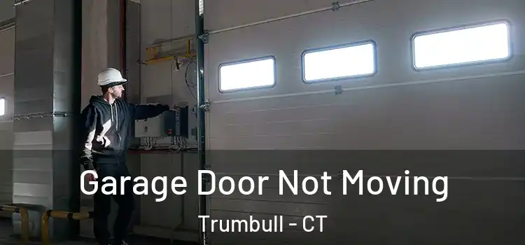  Garage Door Not Moving Trumbull - CT