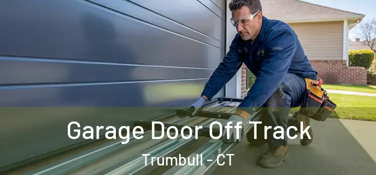  Garage Door Off Track Trumbull - CT