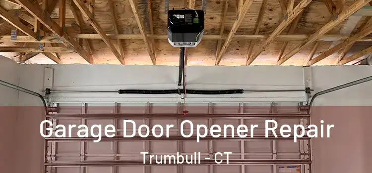  Garage Door Opener Repair Trumbull - CT