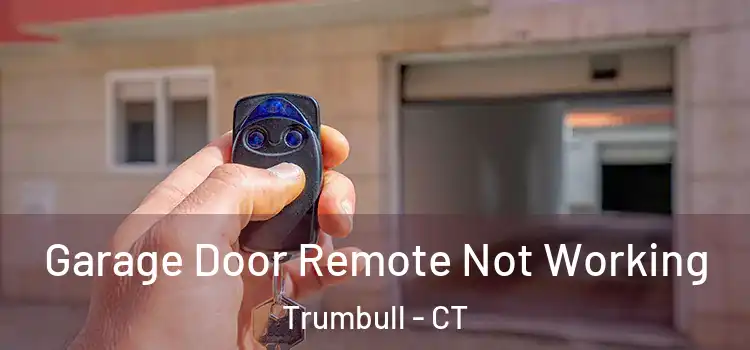  Garage Door Remote Not Working Trumbull - CT