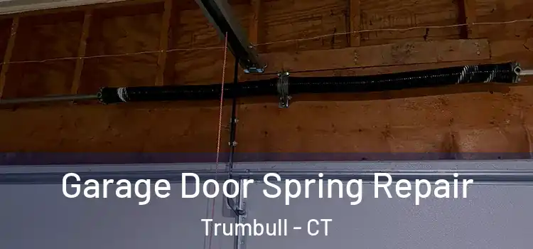  Garage Door Spring Repair Trumbull - CT