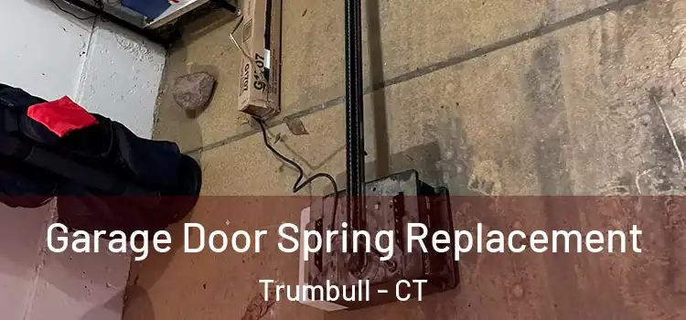  Garage Door Spring Replacement Trumbull - CT