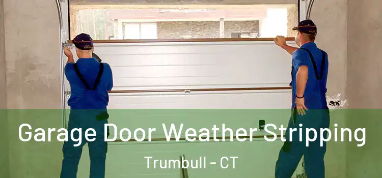  Garage Door Weather Stripping Trumbull - CT
