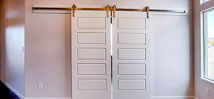 Glass Barn Door with Installation Hardware Kit Trumbull