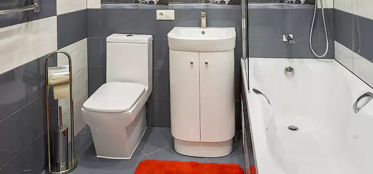 Hansgrohe Shaving Mirror Trumbull