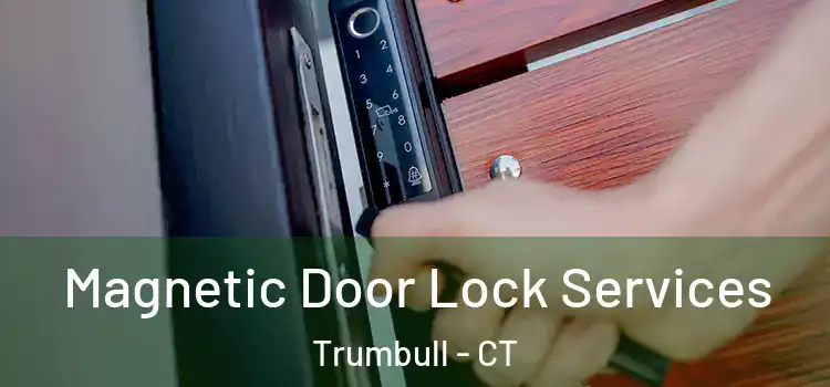 Magnetic Door Lock Services Trumbull - CT