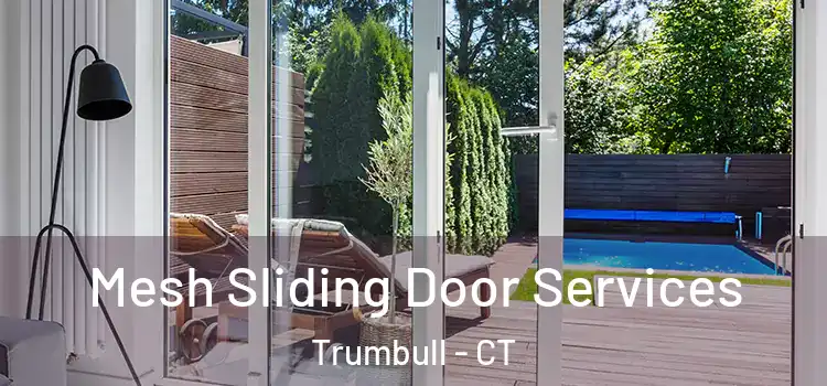 Mesh Sliding Door Services Trumbull - CT