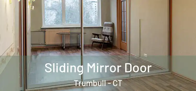 Sliding Mirror Door Trumbull - CT