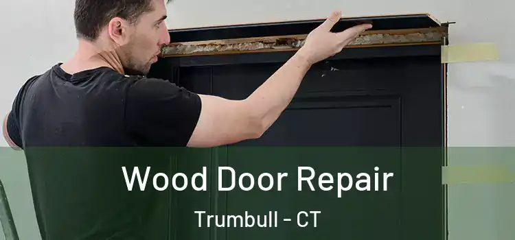  Wood Door Repair Trumbull - CT