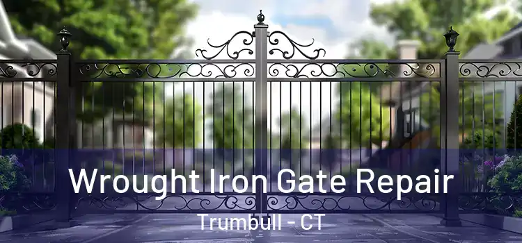 Wrought Iron Gate Repair Trumbull - CT